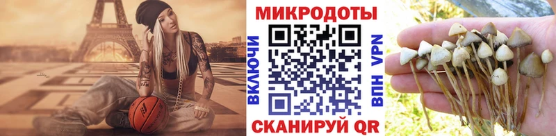 Купить  Первоуральск  Псилоцибиновые грибы мухоморы 